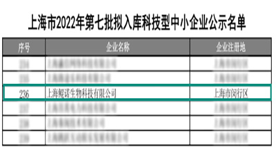 【喜訊】再添榮耀勛章 上海鯤諾榮獲“科技型中小企業(yè)”認定